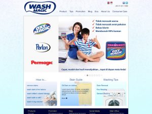 Wash Magic website screenshot 1