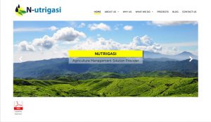 Nutrigasi website screenshot 1