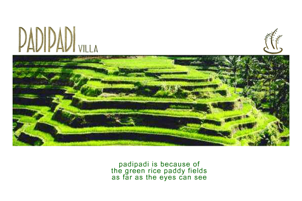 Villa Padipadi website thumbnail 1